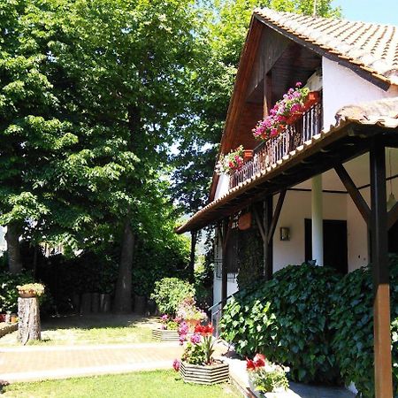 Villa Afroditi Vrasná 外观 照片